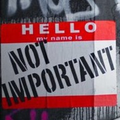 Breakfast with Wolves