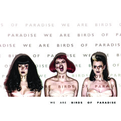 We Are Birds Of Paradise
