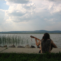 gregory & the zigomatics