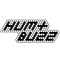 Hum + Buzz