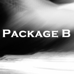 Package B