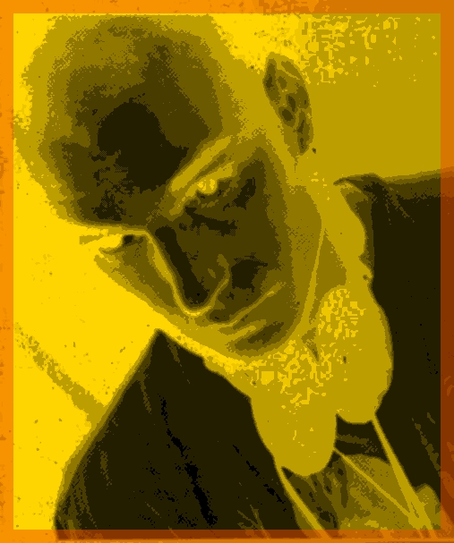 StPaulonacid
