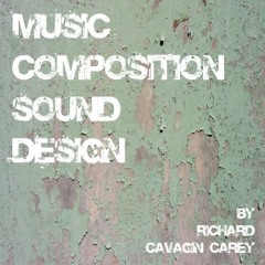 audiosolutions-cavagin