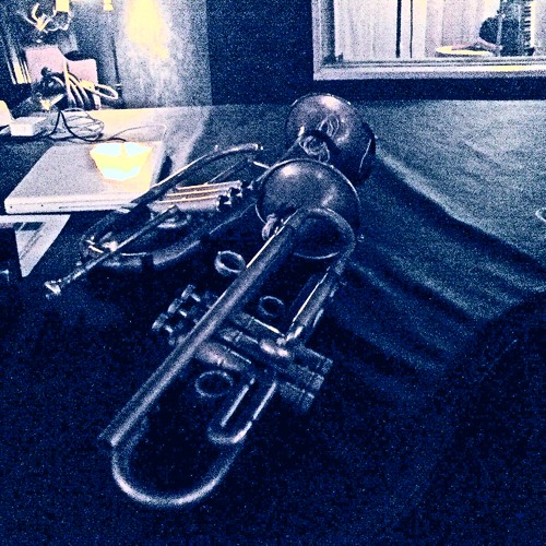 Fake ass bitches (tupac) remix bosa