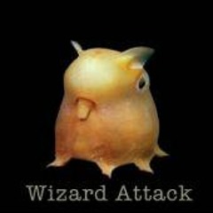 Wizard Attack