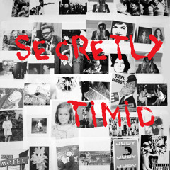 SecretlyTimid