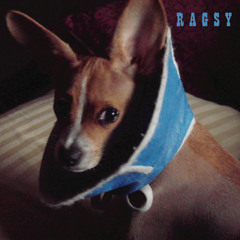 Ragsy