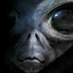 ๏̯͡Skungyfunkyitis٩๏̯͡๏)۶