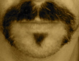 dan pedridge