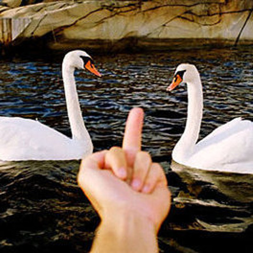 Terror - One With The Underdogs