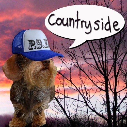 SoundCloud profile picture for @countryside