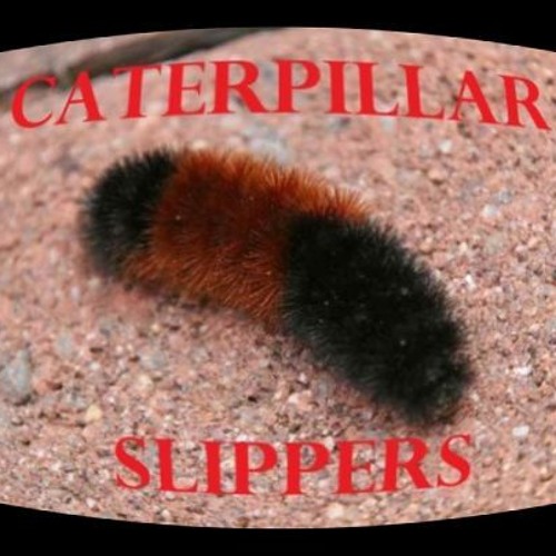 Caterpillar slipper sale