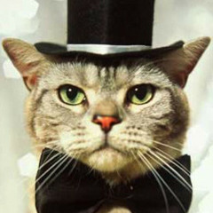 Immaculate Palisades