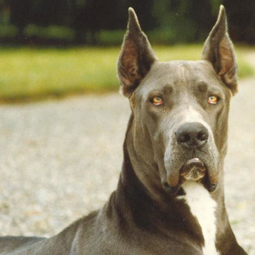 All You Need Is Love Was Not True