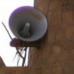 Quino Piñero  )))d-_-'b(((  SolySombra Recordings