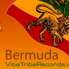 Vibe Tribe Records