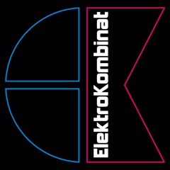 ElektroKombinat