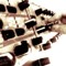 PROTRONIC