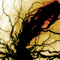Syndrom Records