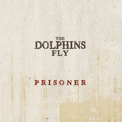 The DolphinsFly