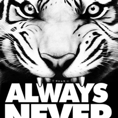 Always Never Records