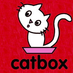 Cat box