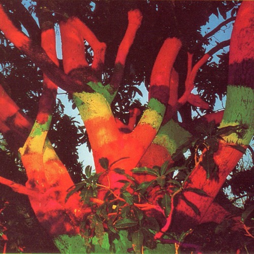 12 - Earth grinder.South Anjuna(Goa Gil)3-1-93