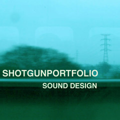 shotgunportfolio