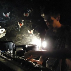 DJ MUNICIPAL (ludochem)