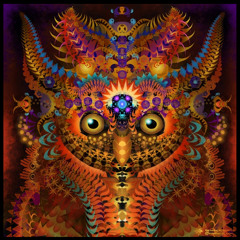 PsykedeliZ
