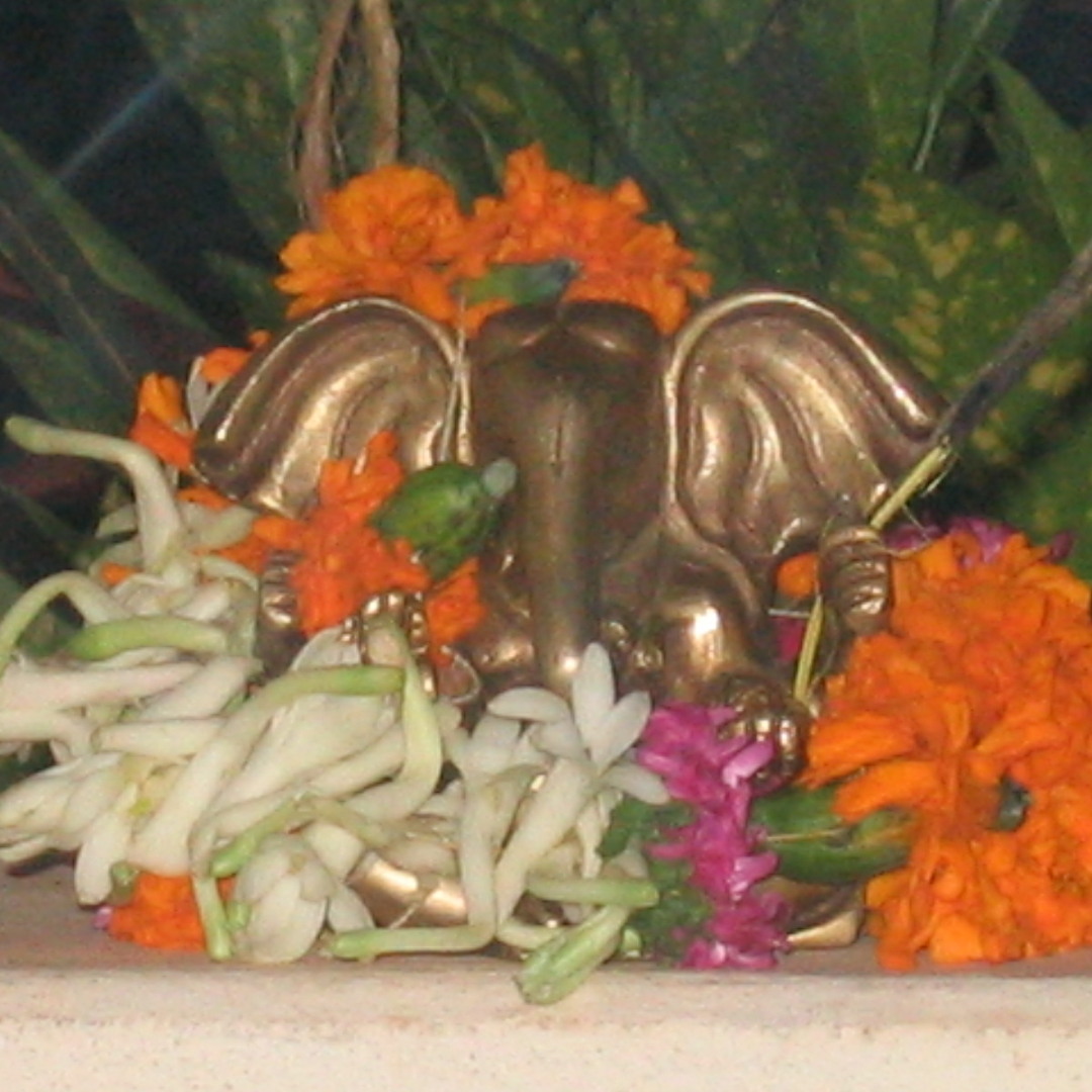 Terminator ‎– Spirits Of The Plants Terminator – Spirits Of The Plants – CD (Album, Enhanced