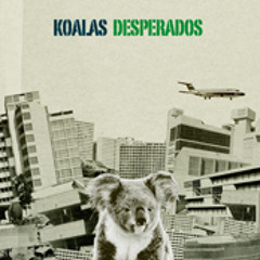 Koalas Desperados
