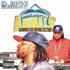 D.RICH moneystacks