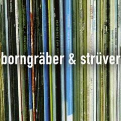 borngraeber & struever