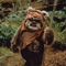 ewok5