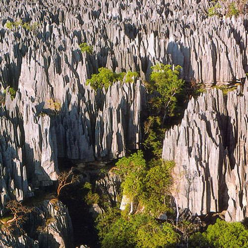 Fa tsarotsaroako-Feo Gasy