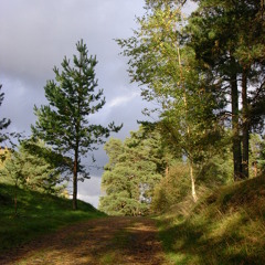 Gridlocks in open space