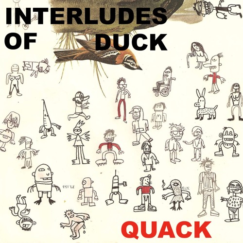 Interludes of Duck’s avatar