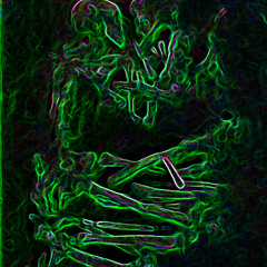 shamansky