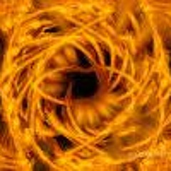 firefoxx79