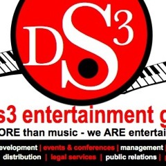 theDS3group