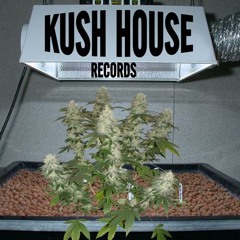 KushHouse