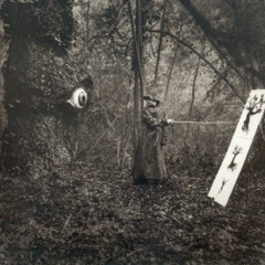 College Anne Frank 2011