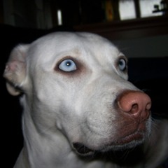 ThErMoCoRe vs DoPaTeK