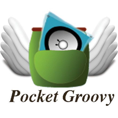 pocketgroovy’s avatar