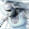 medo-