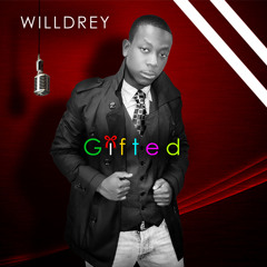 willdrey08