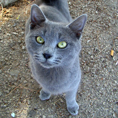 Big L Flamboyant L.O.X Recognize Blend