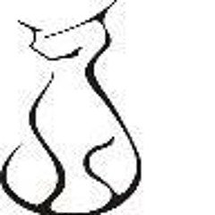 Edgar Poe's Favorite Cat