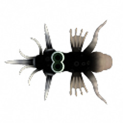 its on like donkey Kong